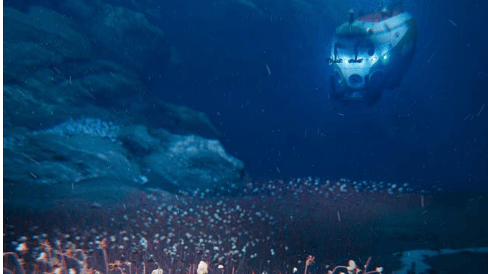 Deep sea submersive